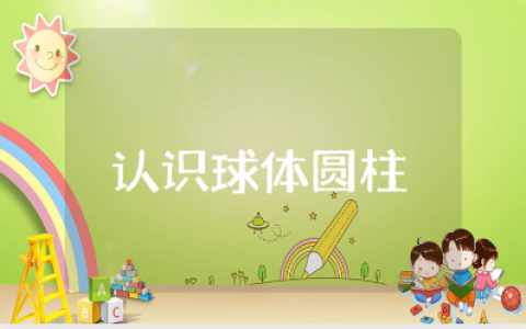 《认识球体和圆柱体》大班教案范文 《认识球体和圆柱体》一等奖教学设计