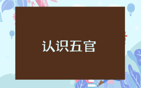 小班《认识五官》教案汇总 《认识五官》幼儿园教学设计大全