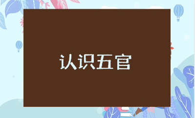小班《认识五官》教案汇总 《认识五官》幼儿园教学设计大全
