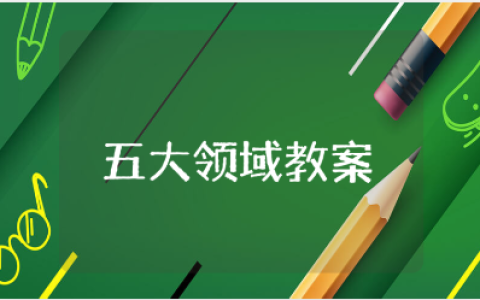 幼儿园五大领域优质课教案范文 五大领域公开课教学设计模板
