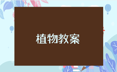 幼儿园小班植物教案汇总 关于植物的教学活动设计方案