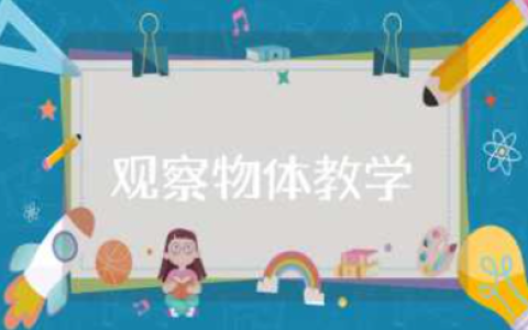 观察物体教学设计汇总 观察物体优秀教案合集