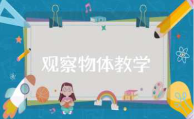 观察物体教学设计汇总 观察物体优秀教案合集