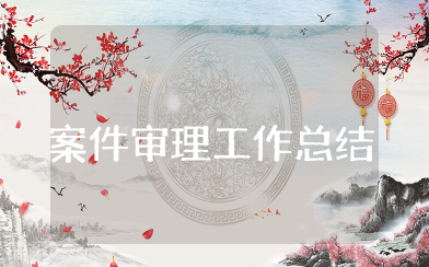 案件审理工作总结 案件审理工作汇报个人总结
