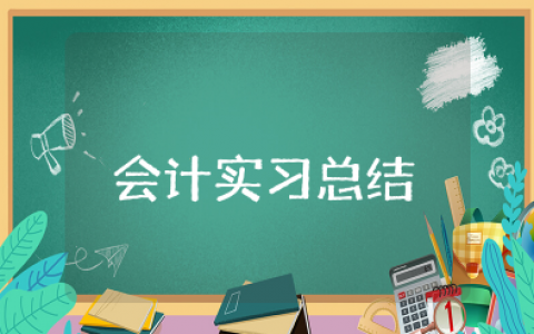 会计事务所实习总结 会计事务所实践总结报告范文