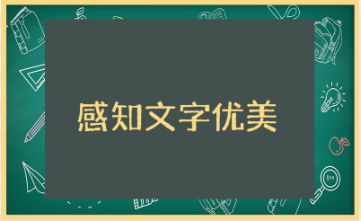 “感知文字优美，畅游书的海洋”演讲稿优秀范文大全