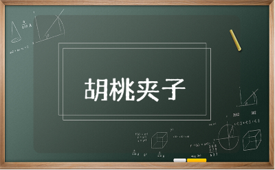 《胡桃夹子》读后感范文大全 阅读《胡桃夹子》心得体会合集