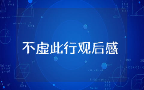 电影《不虚此行》观后感作文通用范文