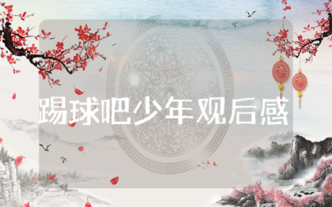 电影《踢球吧少年》观后感范文