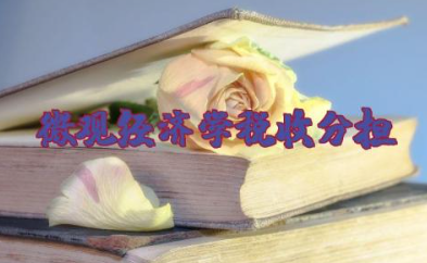 微观经济学税收分担 微观经济学之市场结构理论