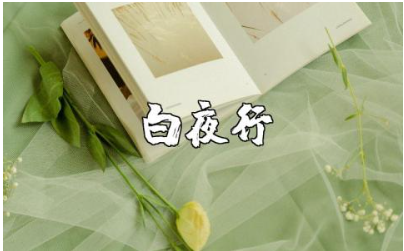 《白夜行》读后感1000字范文 《白夜行》心得感悟模板