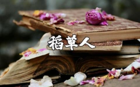 《稻草人》小说读后感范文 《稻草人》阅读心得体会汇总