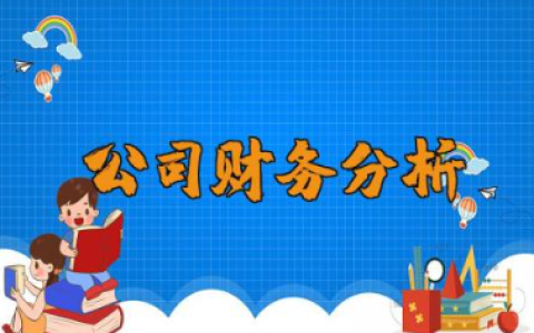 对公司的财务分析 财务状况分析报告范文