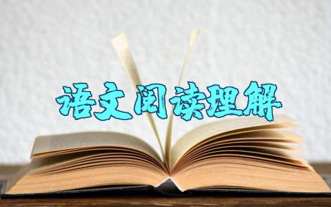 六年级语文阅读理解练习及阅读方法归纳总结资料整理