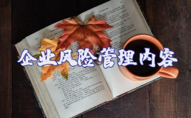 企业风险管理内容范文整理