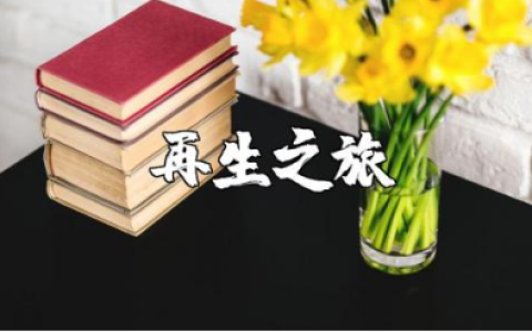 《再生之旅》观后感范文 《再生之旅》观看心得体会模板