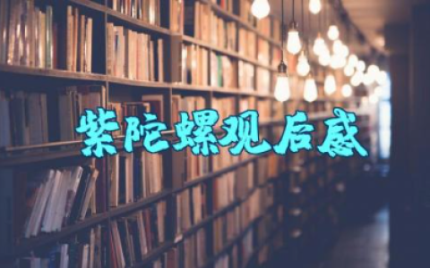 《紫陀螺》观后感简短 观看电影《紫陀螺》心得体会