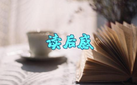 《实践是检验真理的唯一标准》读后感范文