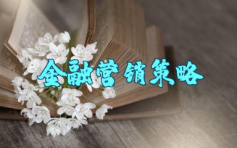互联网金融营销策略分析 互联网产品营销方案设计