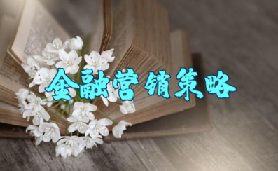 互联网金融营销策略分析 互联网产品营销方案设计