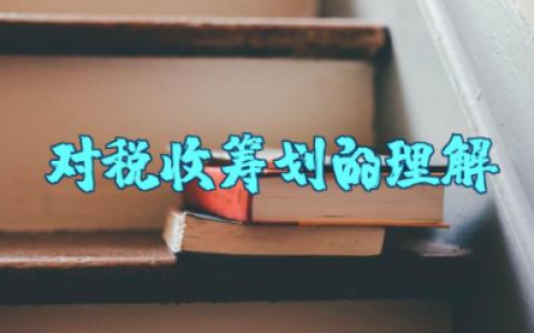 对税收筹划的理解和认识论文 税收筹划案例分析论文