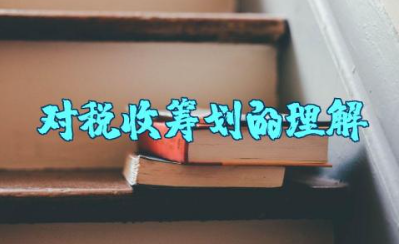 对税收筹划的理解和认识论文 税收筹划案例分析论文