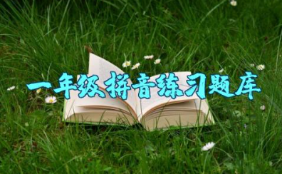 一年级拼音练习题库及字母表资料整理