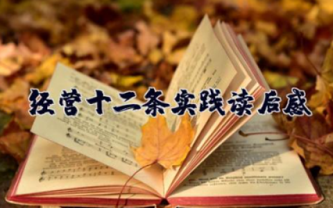 经营十二条实践读后感 读《经营十二条实践》有感