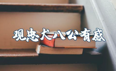 观《忠犬八公》有感作文 《忠犬八公》观影感悟和评价