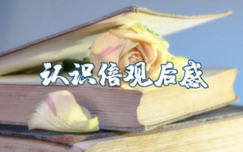 《徐斌认识倍》观后感 听徐斌老师认识倍的课心得体会与感悟