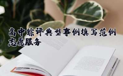 高中综评典型事例填写范例志愿服务（精选15篇）