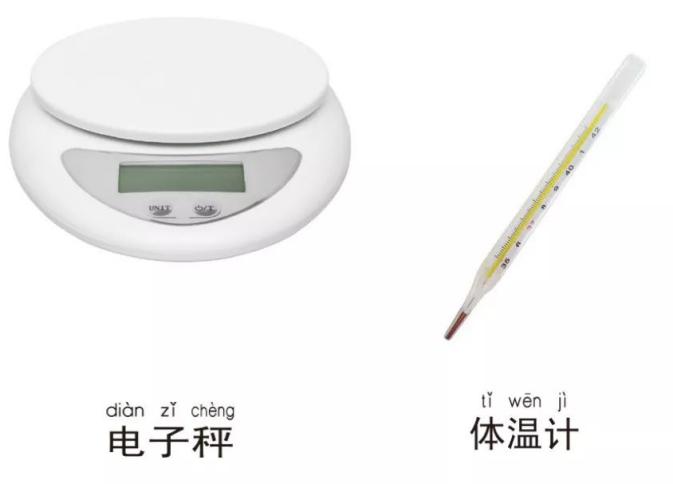 小学科学教科版一年级上册知识点整理及实验操作指南
