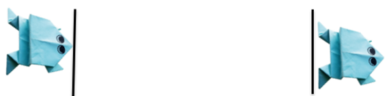 小学科学教科版一年级上册知识点整理及实验操作指南