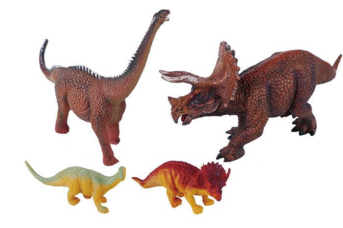 小学科学教科版一年级上册知识点整理及实验操作指南