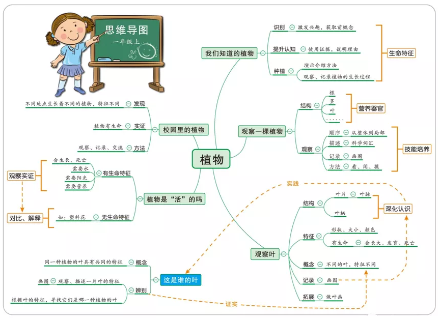 小学科学教科版一年级上册知识点整理及实验操作指南