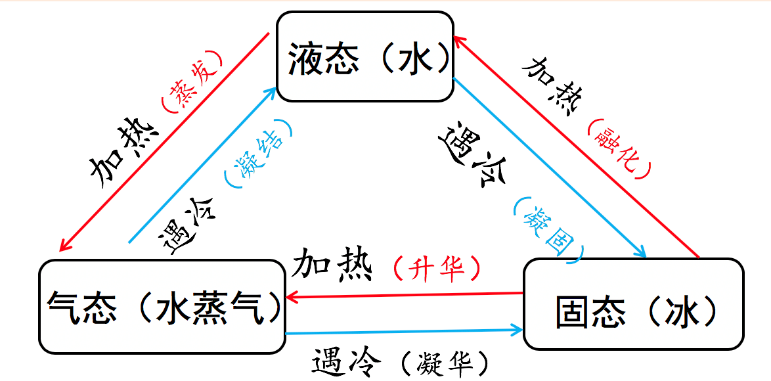 三年级上册科学知识点归纳总结及重要概念和理论资料整理