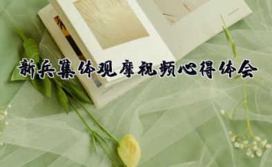 新兵集体观摩视频心得体会 新兵入伍心得体会最新