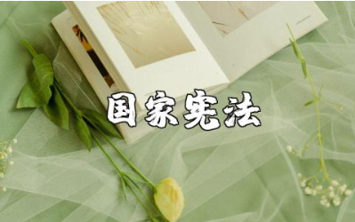 国家宪法主题活动方案范文 国家宪法主题活动方案模板