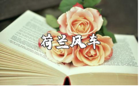 《荷兰风车》美术教案汇总 《荷兰风车》美术教案通用范文