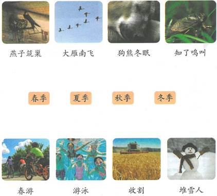 小学二年级科学知识点归纳及测试题汇总完整版