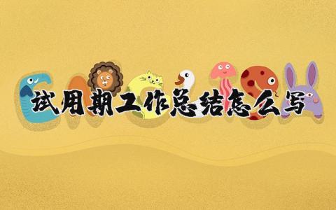 试用期工作总结精选范文 试用期工作感悟总结模板