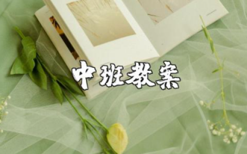 认识数字4中班教案及反思 认识数字4优秀教案大班