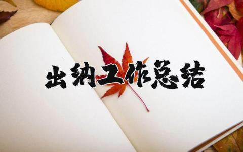 出纳工作总结个人范文大全 出纳年终工作总结及下年工作计划
