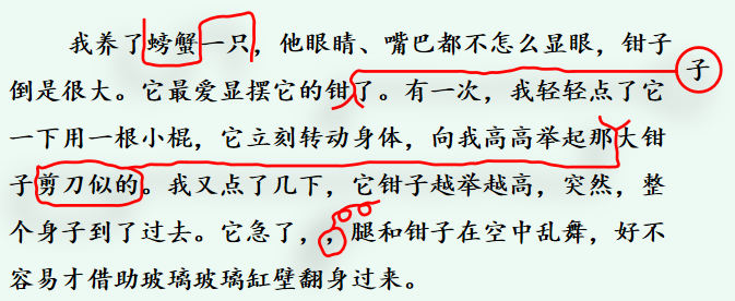 小学三年级语文知识点归纳（拼音和字词+句子和段落+阅读理解）资料整理