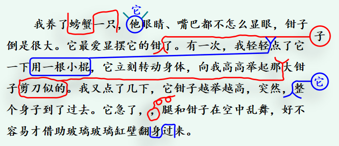 小学三年级语文知识点归纳（拼音和字词+句子和段落+阅读理解）资料整理