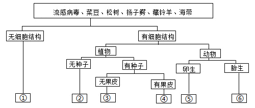 初二生物上册必考重点及实验探究知识点全面总结归纳大全附练习