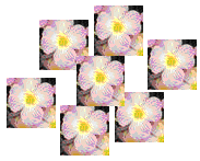 小学语文一年级汉语拼音基础部分练习题库合集附答案