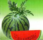 小学语文一年级汉语拼音基础部分练习题库合集附答案