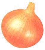 小学语文一年级汉语拼音基础部分练习题库合集附答案