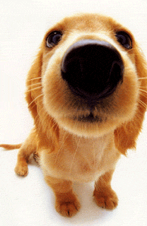 小学语文一年级汉语拼音基础部分练习题库合集附答案